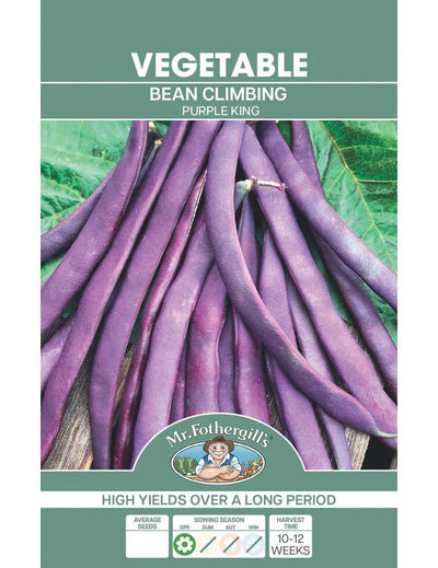 Mr Fothergills Climbing Bean Purple King