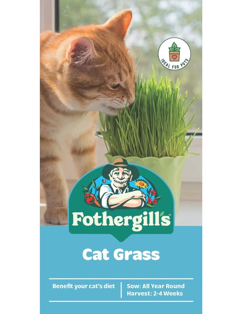 Mr Fothergills FOT Cat Grass - Woonona Petfoods