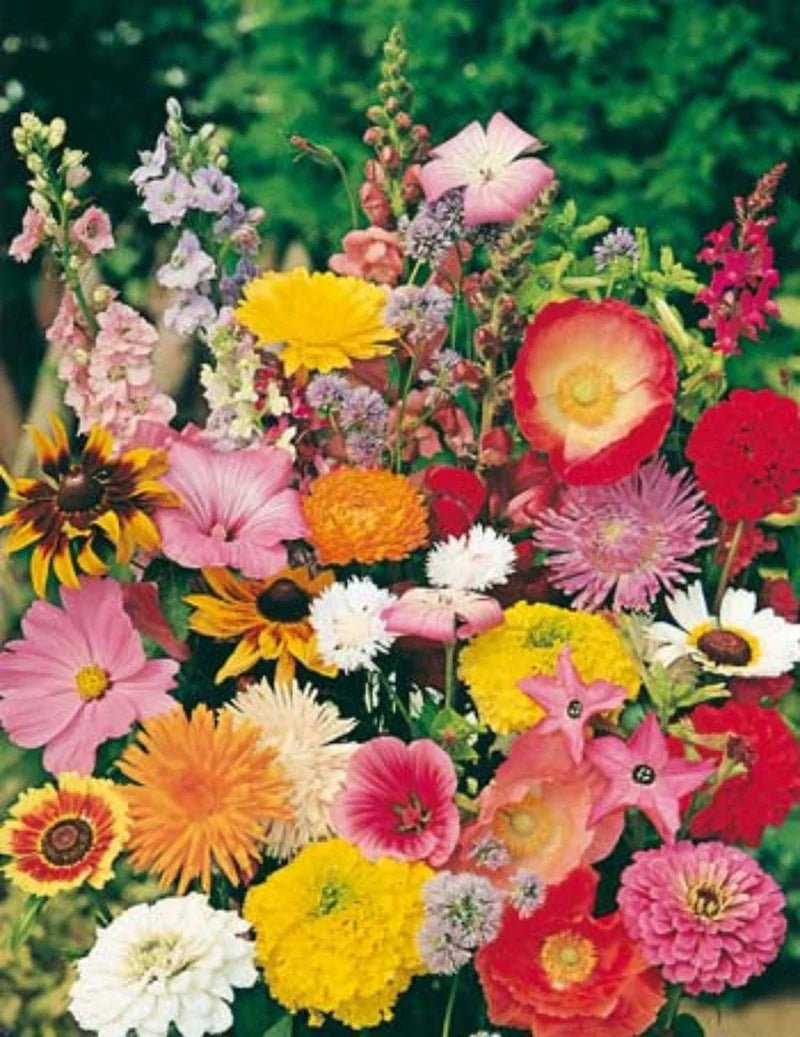 Mr Fothergills FOT Cottage Garden Flower Mix - Woonona Petfoods
