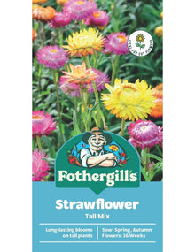 Mr Fothergills FOT Strawflower Tall Mix - Woonona Petfoods