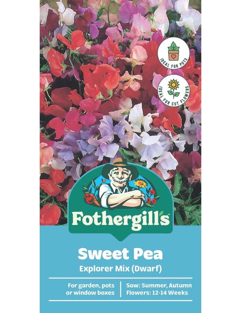 Mr Fothergills FOT Sweet Pea Explorer Mix - Woonona Petfoods
