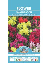 Mr Fothergills Snapdragon Magic Carpet - Woonona Petfoods