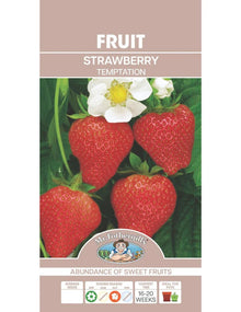 Mr Fothergills Strawberry Temptation - Woonona Petfoods