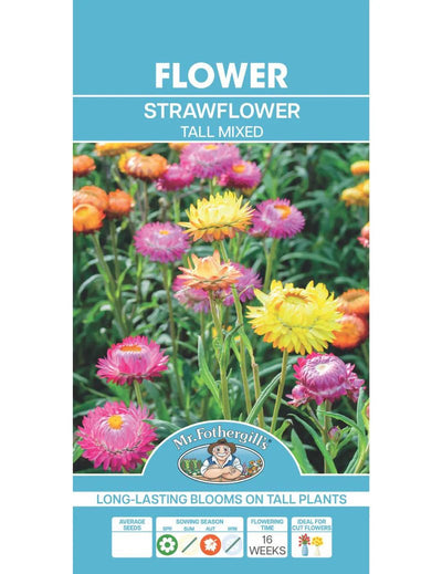 Mr Fothergills Strawflower Tall Mixed