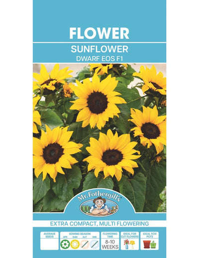 Mr Fothergills Sunflower Eos