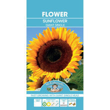 Mr Fothergills Sunflower Giant Russian - Woonona Petfoods