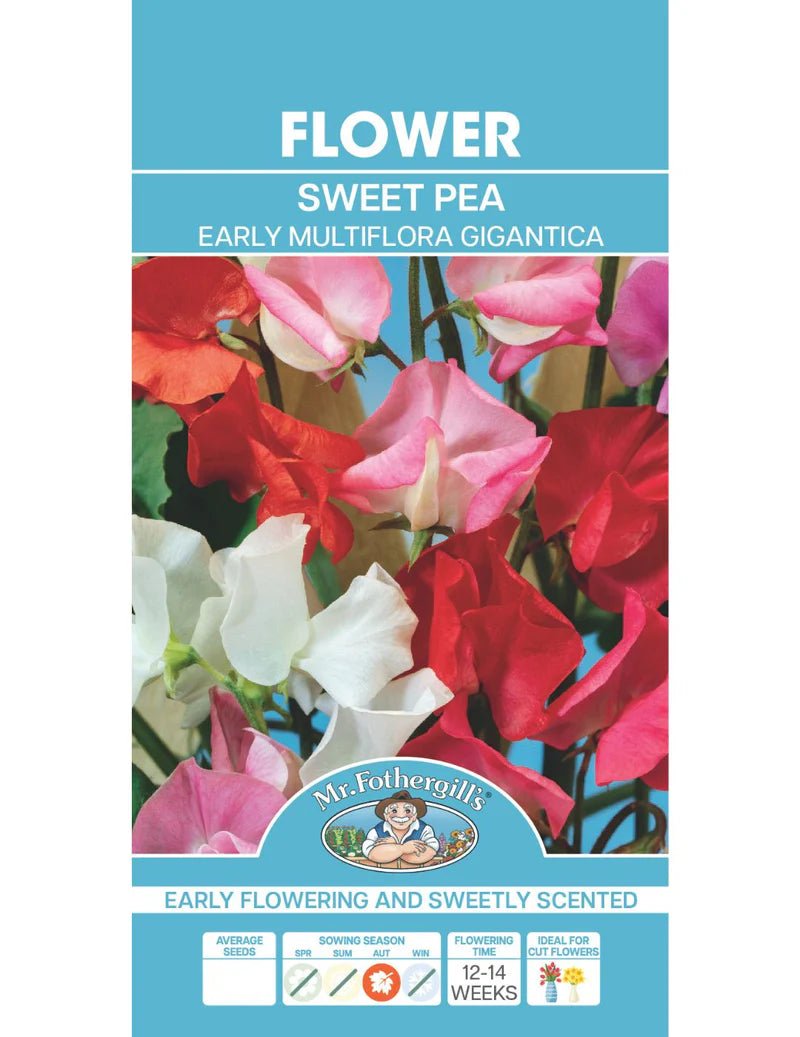 Mr Fothergills Sweet Pea Early Multi Flora Gigantic - Woonona Petfoods