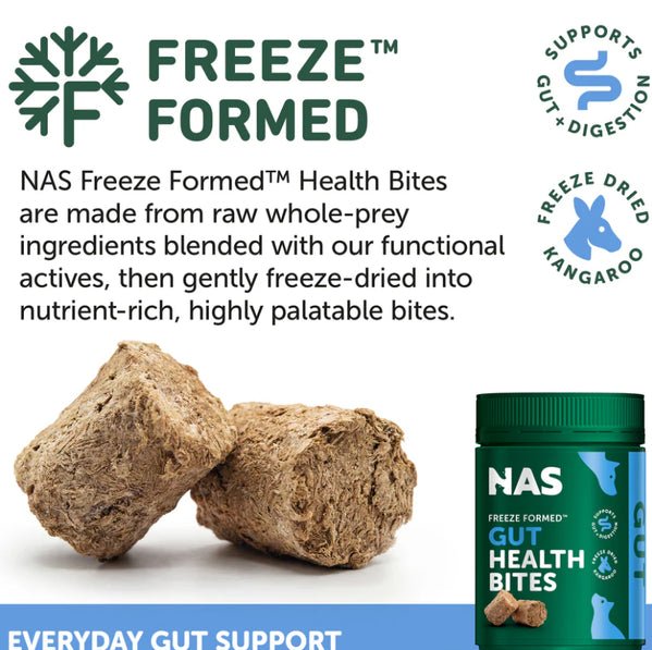 Natural Animal Solutions Gut Health Bites for Dogs and Cats 110g - Woonona Petfoods
