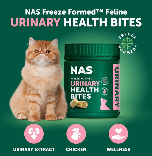 Natural Animal Solutions Urinary Health Bites for Cats 50g - Woonona Petfoods