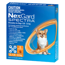 Nexgard Spectra 2 - 3.5kg - Woonona Petfood & Produce