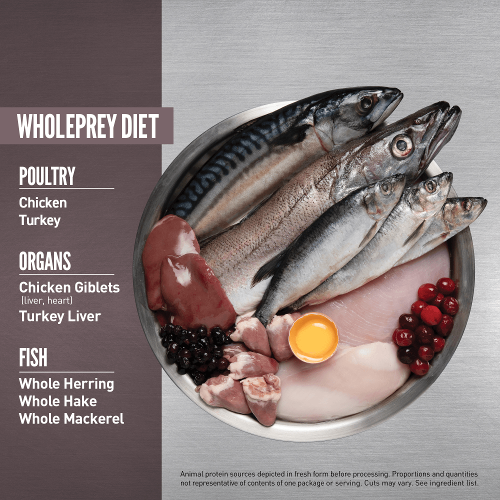 ORIJEN Fit and Trim Dry Cat Food 1.8kg - Woonona Petfoods