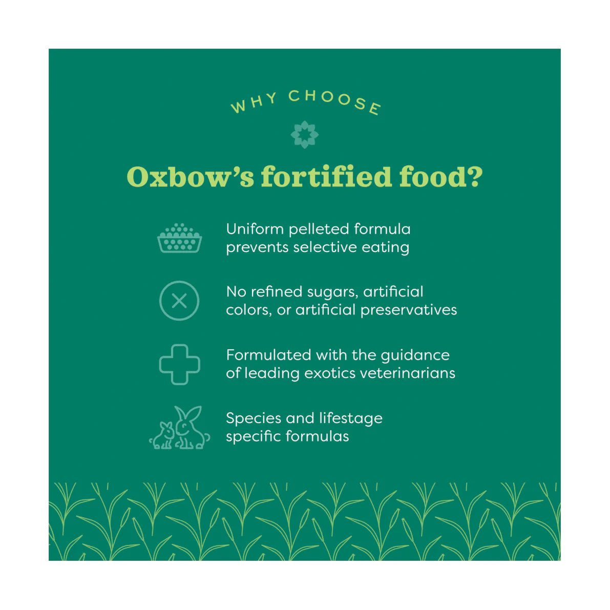 Oxbow Essentials Young Guinea Pig Food 2.25kg - Woonona Petfoods
