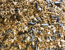 Peachface Mix Avgrain per - Woonona Petfoods