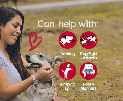 Pet Corrector 50ml - Woonona Petfoods