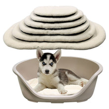 Pet One Cushion for Plastic Bed - Woonona Petfoods