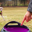 Petsafe Automatic Ball Launcher - Woonona Petfoods