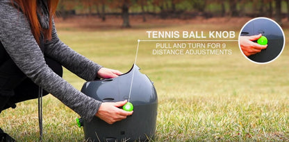 Petsafe Automatic Ball Launcher - Woonona Petfoods