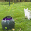 Petsafe Automatic Ball Launcher - Woonona Petfoods