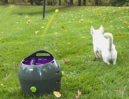 Petsafe Automatic Ball Launcher - Woonona Petfoods