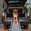 Petsafe Compact Telescoping Dog Ramp - Woonona Petfoods
