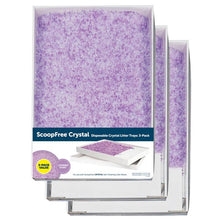 Petsafe Scoop Free Litter Tray Replacement Lavender 3 Pack - Woonona Petfoods