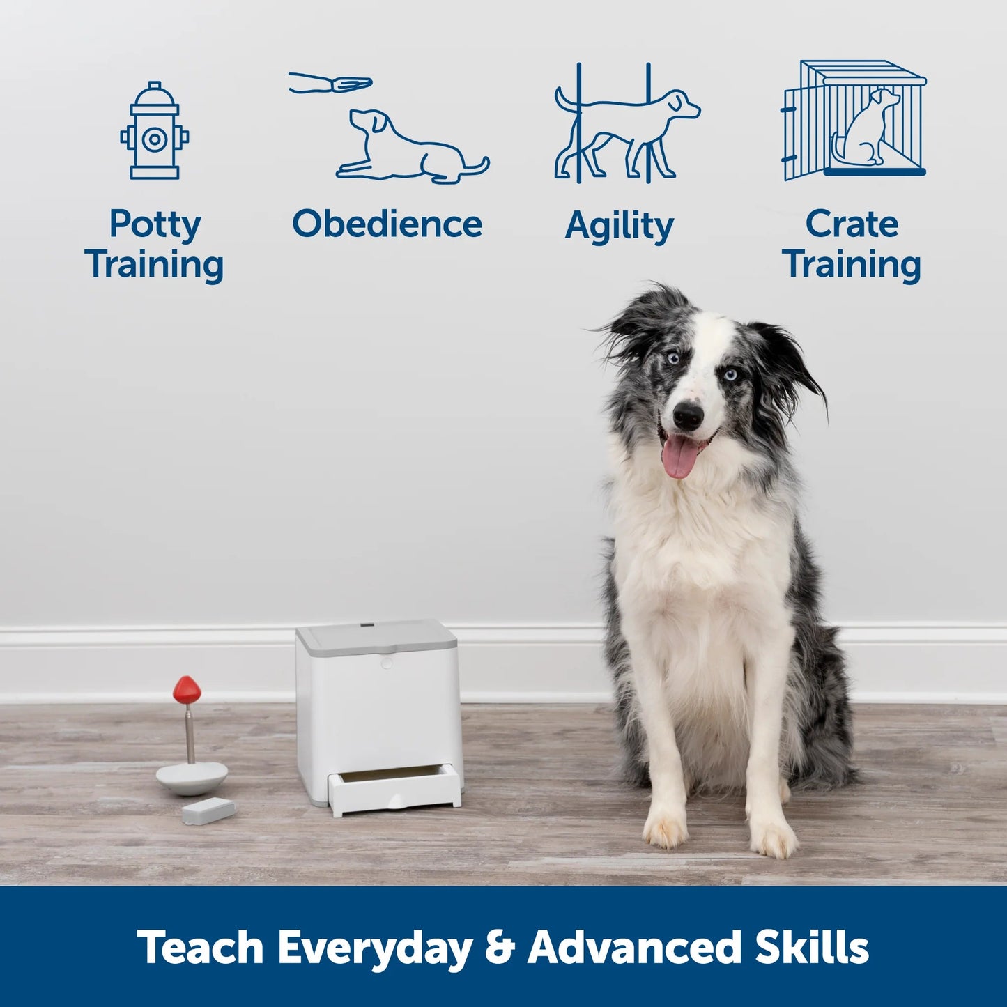 Petsafe Teach and Treat Remote Reward Dog Trainer - Woonona Petfood & Produce