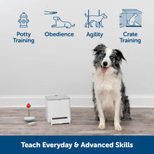 Petsafe Teach and Treat Remote Reward Dog Trainer - Woonona Petfoods