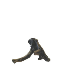 Pisces Natural Products NZ Exotic Wood Small - Woonona Petfoods
