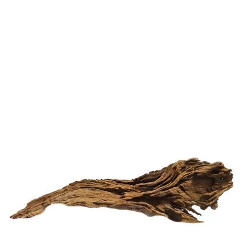 Pisces Natural Products River Wood - Woonona Petfoods