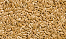 Plain Canary Seed Avigrain per - Woonona Petfoods