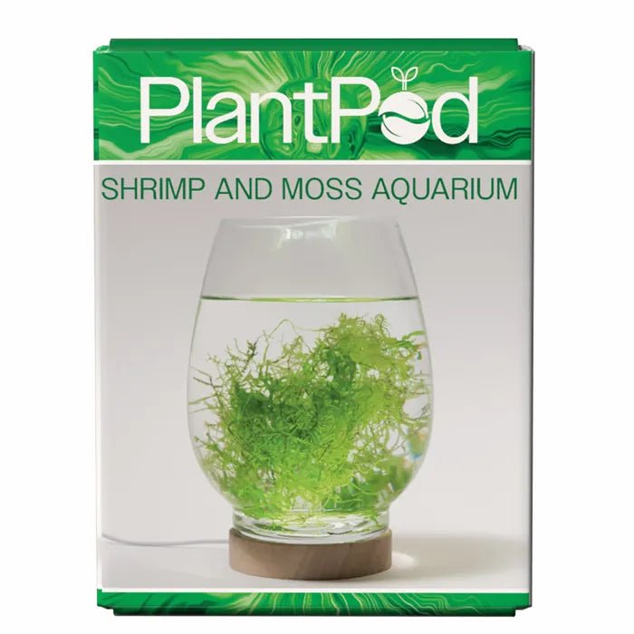Plant Pod Shrimp and Moss Aquarium - Woonona Petfoods