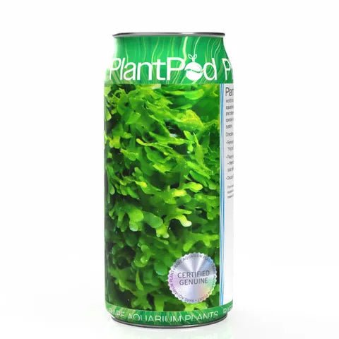 Plant Pod Shrimp Moss - Woonona Petfoods