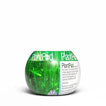 Plant Pod Willow Moss - Woonona Petfoods