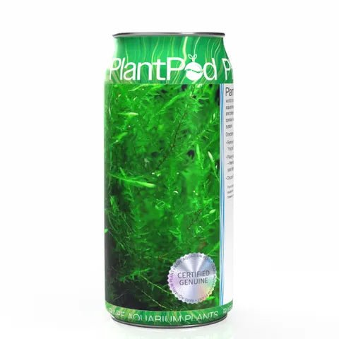 Plant Pod Willow Moss - Woonona Petfoods