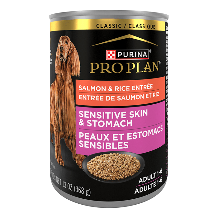 Pro Plan Wet Dog Food Adult Sensitive Skin and Stomach Salmon - Woonona Petfoods