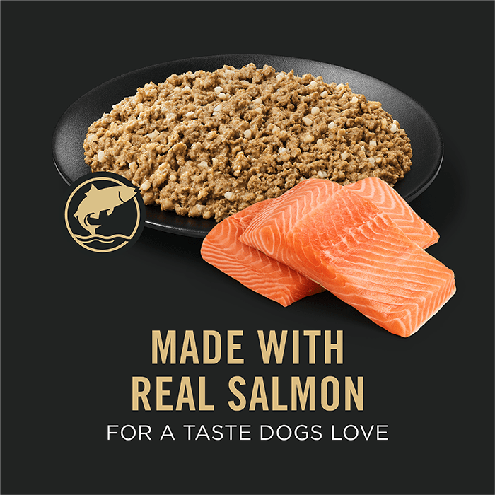 Pro Plan Wet Dog Food Adult Sensitive Skin and Stomach Salmon - Woonona Petfoods