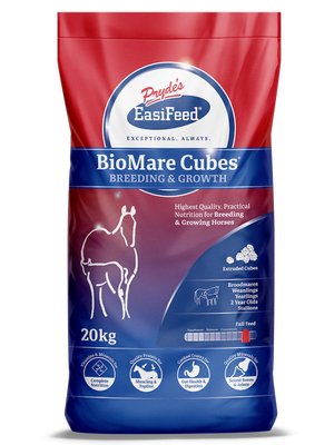 Prydes Bio Mare Cubes 20kg - Woonona Petfood & Produce