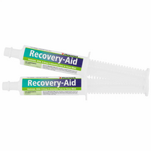 Ranvet Recovery Paste 80ml - Woonona Petfoods