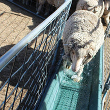 Rapid Plas Footroot Bath Racetype - Woonona Petfoods