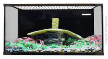 Reptile One Glass ECO Turtle Tank 120cm - Woonona Petfoods