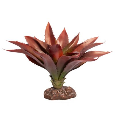 Reptile One Plant Aloe Red Green - Woonona Petfoods