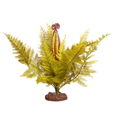 Reptile One Plant Large Eagle Fern Green With Ceramic Base - Woonona Petfoods
