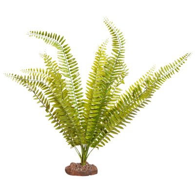 Reptile One Plant Large Fern Green With Ceramic Base - Woonona Petfoods