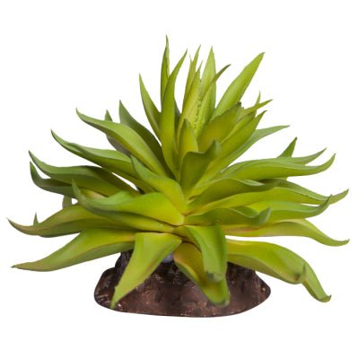 Reptile One Plant Mini Carpobrotus Green - Woonona Petfoods