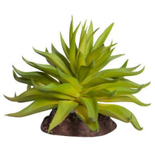 Reptile One Plant Mini Carpobrotus Green - Woonona Petfoods