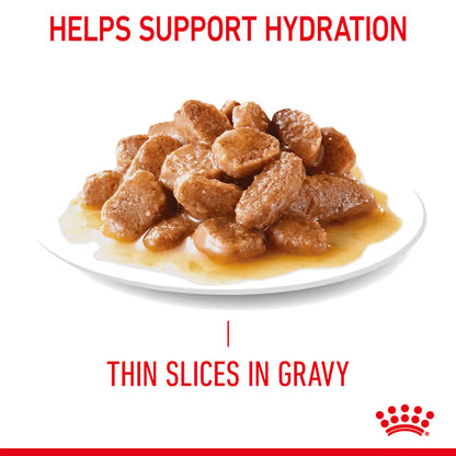 Royal Canin Wet Cat Food Appetite Control Gravy
