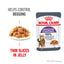 Royal Canin Wet Cat Food Appetite Control Jelly 12x85g