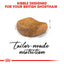 Royal Canin Dry Cat Food British Shorthair