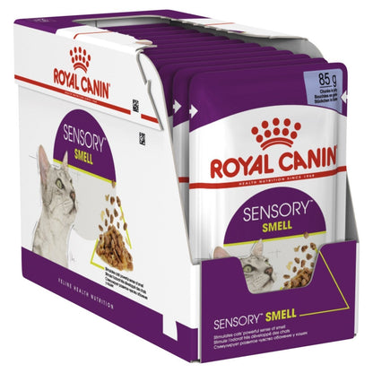 Royal Canin Wet Cat Food Sensory Smell Jelly