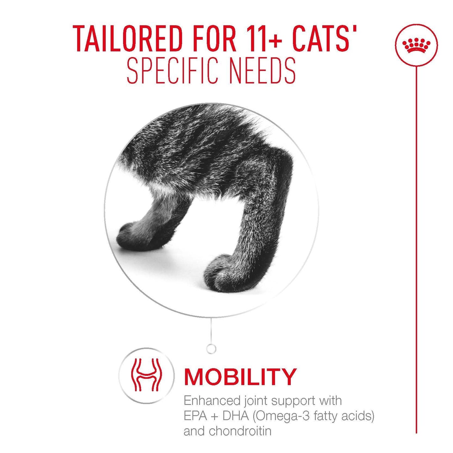 Royal Canin Dry Cat Food Ageing 11+ 2kg - Woonona Petfoods